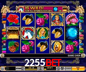 VIP Casino 2255BET